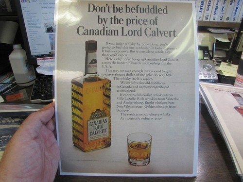 Originale canadian lord - -,