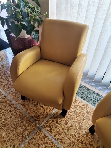 Poltrona fior di pelle - poltrona,