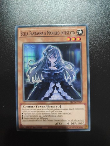 Bella fantasma maniero - fantasma, e