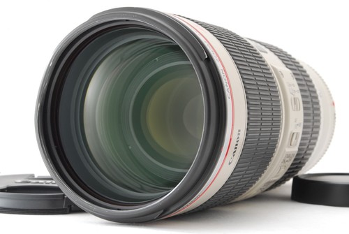 Canon 200mm 8 - 70-200mm, f/2.8