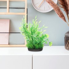  2 Pezzi Piante da Serbatoio