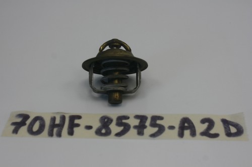 Termostato thermostat ford - qh,