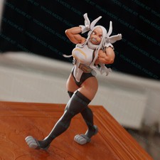 Statua Mirko scala 1/24 non