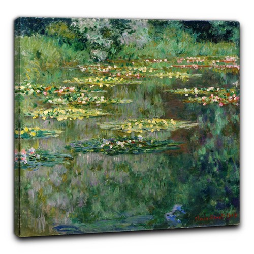 Niik quadro stagno delle - lo,