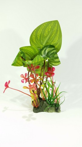 Pianta finta piantina - pianta,