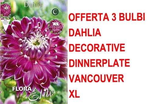 Offerta bulbi primaverili - offerta, 3