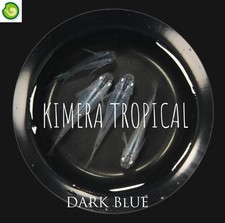 Medaka Mix Dark Colors  - 10 -