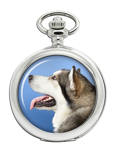 Alaskan malamute orologio - alaskan,