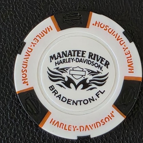 Manatee river florida - manatee, ~