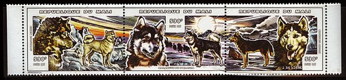 Husky dog postage stamp - husky,