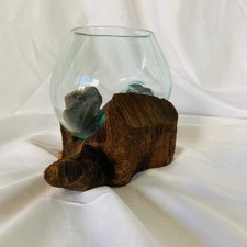 Vaso orchidea vetro su radice