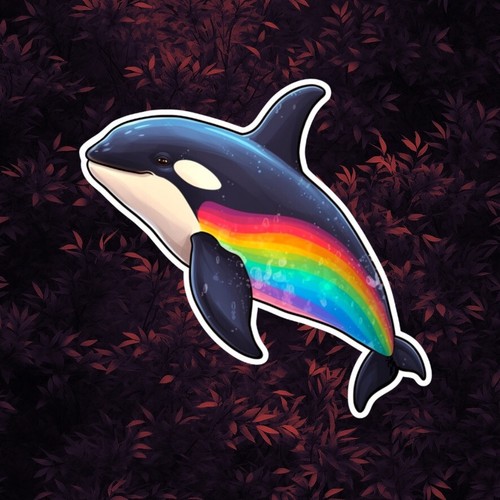 Rainbow orca whale - rainbow,