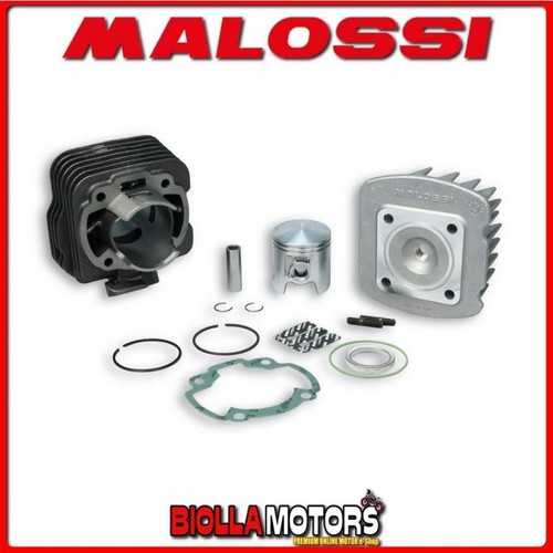 319879 gruppo termico malossi - gruppo,