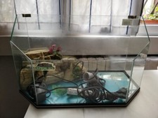 tartarughiera completa, usata ma in buone condizioni.