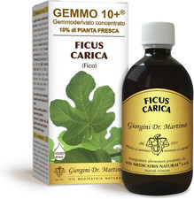 FICO (Ficus Carica)