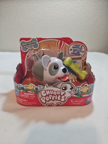Puppi paffuti bulldog - paffuti, francese