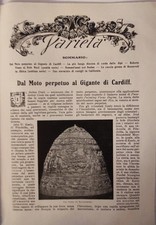 Ferdinando D'Amora - DAL MOTO