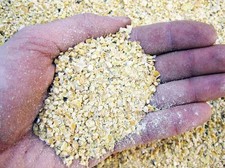 Lupino, lupini macinati 1/3 mm