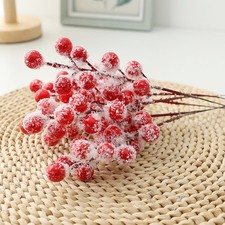 Ilex Rubra Decorazione