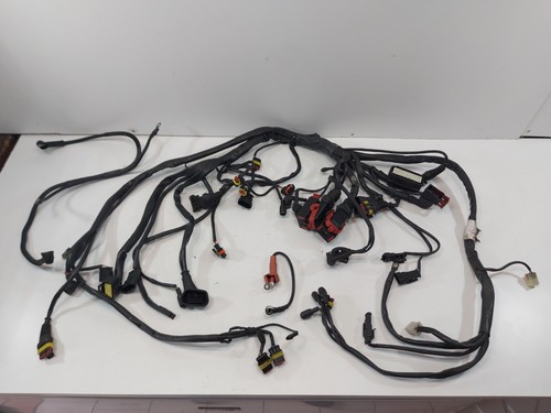 Cablaggio wiring harness - cablaggio, mv