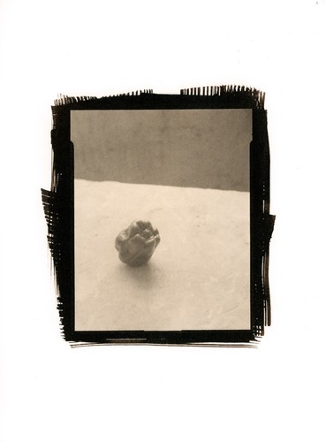 Stampa fotografica fine - , art