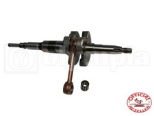 ATALA RIZZATO VAMOS 50 ALBERO