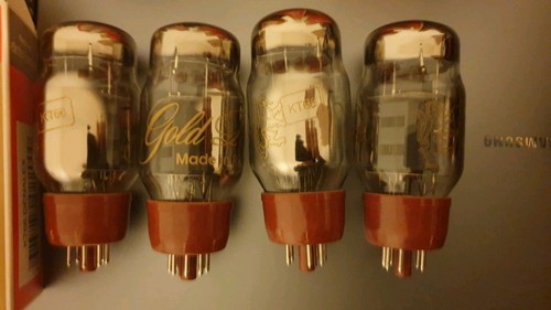 Gold lion kt66 valvole - lion, kt66,