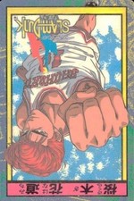 Slam Dunk Wafer Card Lot