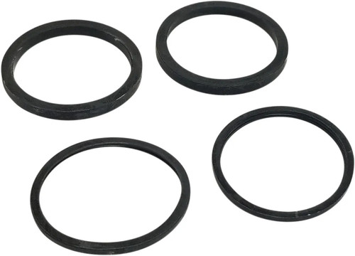 1001 kit guarnizioni pinza - 19-1001,
