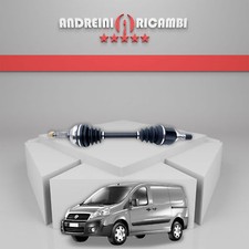 SEMIASSE ANTERIORE SINISTRA