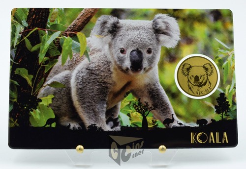 Koala australia big - koala,