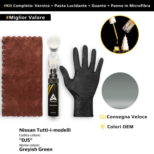 Vernice ritocco per nissan - di,