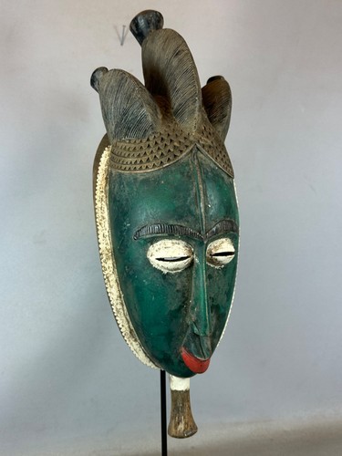 251247 maschera baule verde - baule,