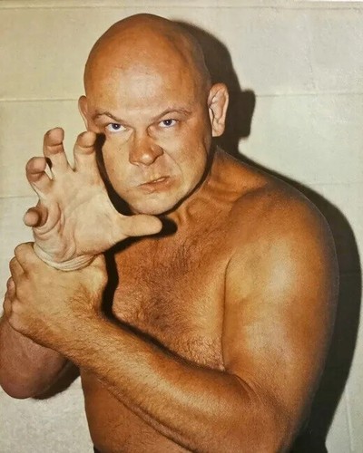 Wrestling superstars baron - superstars,