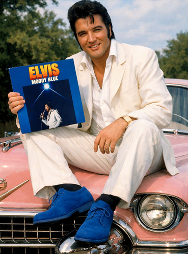 Elvis presley moody - elvis, blue-1977