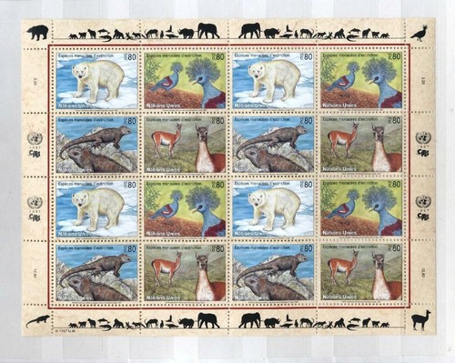 Orso ghiaccio - di,
