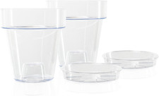 Vaso per Orchidee Trasparente