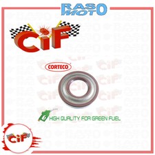 Paraolio in Viton Lato