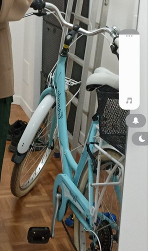 Bicicletta torpado t120 - t120, silver