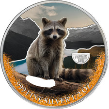 Moneta 2025 Camerun Procione