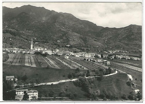 Belluno alano di - (095),