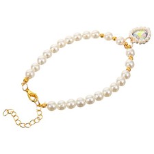  Accessori Cane Piccola Taglia