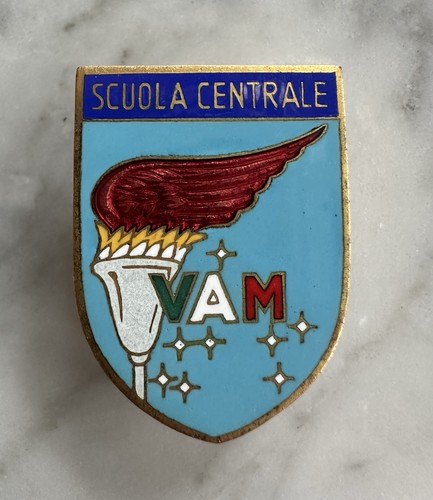 Distintivo scuola centrale vam - scuola,