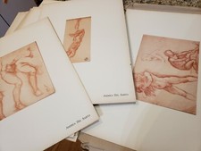 Firenze Art Collection Stampe