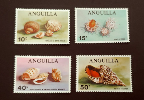 Set pesci fauna marina - set,