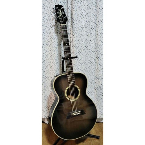 Chitarra acustica elettrica