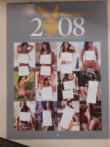Playboy 2008 calendar