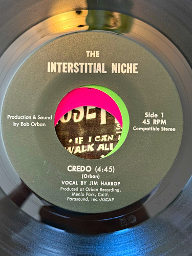 The interstitial niche credo - the,