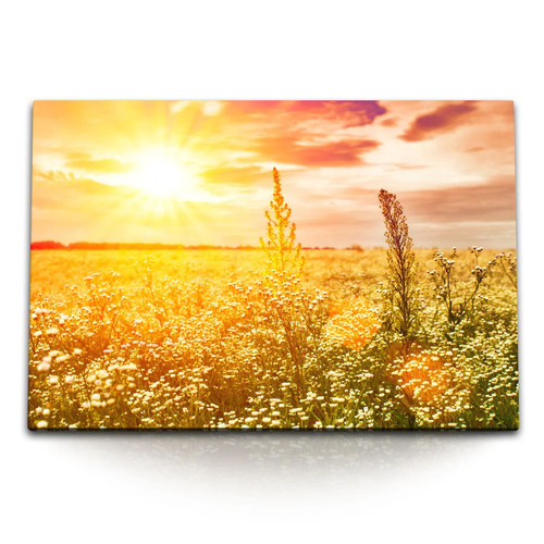 Quadro tela 120x80 - quadro, campo