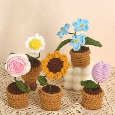 Pianta in vaso di girasole